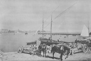 Genève, Le Port