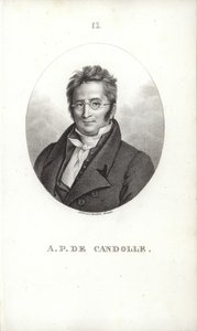 Augustin Pyramus de Candolle - Swiss School
