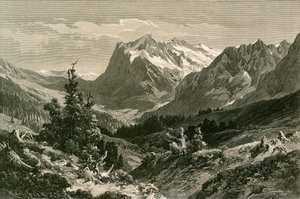 Près de Grindelwald, Oberland bernois