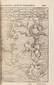 Page 1005 de Cosmographiae Universalis par Sebastian Muenster, Bâle, 1572