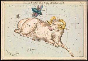 Bélier et Musca borealis, c.1825