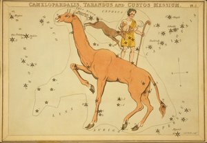 Camelopardalis, Tarandus et Custos Messium, Illustration de 