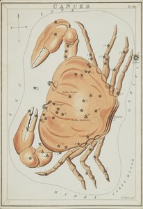 Cancer, Illustration de 