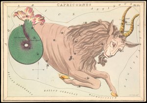 Capricorne - Sydney Hall
