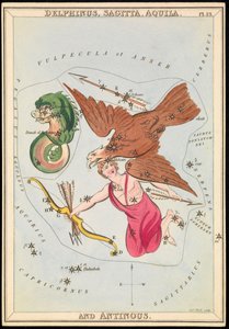 Delphinus, Sagitta, Aquila et Antinous, c.1825 - Sydney Hall