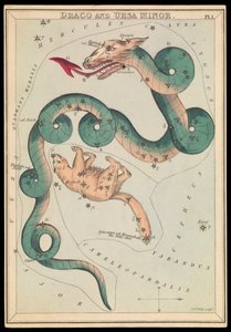 Draco et Ursa Minor, vers 1825 - Sydney Hall