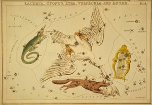 Lacerta, Cygnus, Lyra, Vulpecula et Anser, illustration de 