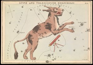 Lynx et Telescopium Hereschilii, c.1825 - Sydney Hall