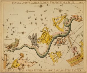 Noctua, Corvus, Crater, Sextans Uraniæ, Hydra, Felis, Lupus, Centaurus, Antlia Pneumatica, Argo Navis, et Pyxis Nautica, Illustration de 