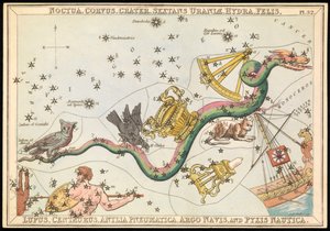 Noctua, Corvus, Crater, Sextans Uraniae, Hydra, Felis, Lupus, Centaurus, Antilia Pnuematica, Argo Navis et Pysix Nautica, vers 1825 - Sydney Hall