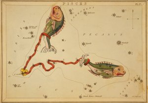 Poissons, Illustration de 