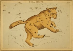 Grande Ourse, Illustration de 