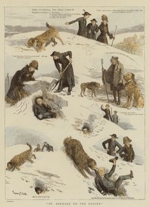 Saint Bernard au secours
