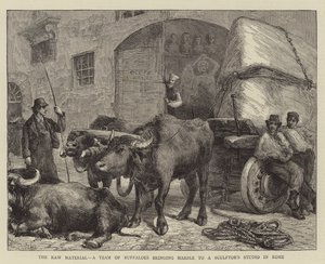 La matière première, une équipe de buffles apportant du marbre à un atelier de sculpteur à Rome
