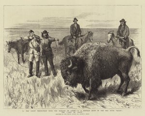 Vers le Grand Nord-Ouest avec le Marquis de Lorne, X, une chasse au bison dans la vallée de la rivière Rouge, le coup de grâce