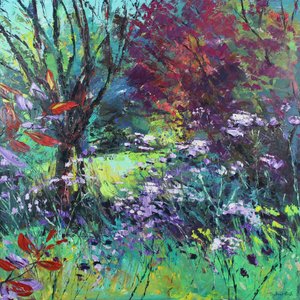 Lumière et ombre du jardin