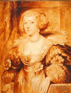 Amilia van Solms - T.S. White