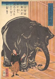 Vue du grand éléphant importé - Taguchi Yoshimori