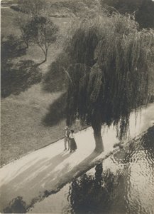 La lumière du soleil et l
