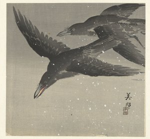 Corbeaux dans la neige