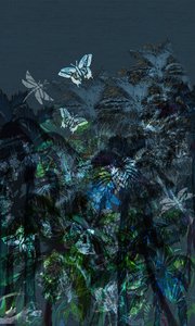 Tropiques sombres - Tara Whitehead