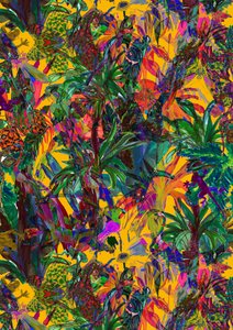 Paradis - Tara Whitehead