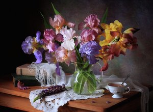 Nature morte aux iris colorés