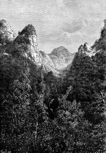 Madère, Portugal, 1895