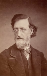Portrait de John Peter Lesley 1819-1903 - Taylor and Brown