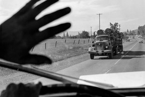 Conducteur dans un camion de transport de bois saluant un autre camion de transport de bois