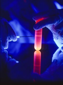 Extraction de nucléotides d