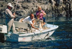 Film enregistrant sa prise, un pêcheur remonte un saumon à Bute Inlet