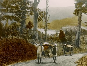 Jeune fille japonaise dans un Kago, région de Hakone, vers 1900 - 1915 (photographie)