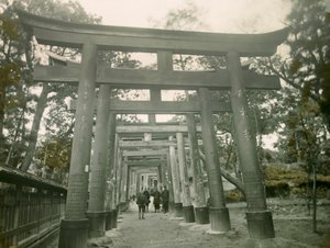 Torii dans le sanctuaire Inari de Kyoto, vers 1900 - 1915 (photographie)