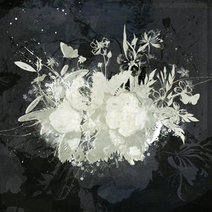 Silhouette florale - Teis Albers