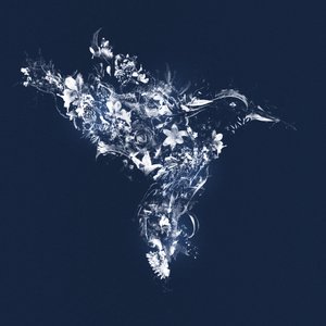 Oiseau floral, 2019