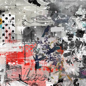 Aimer le rêve - Teis Albers