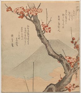 Prunier avec le mont Fuji