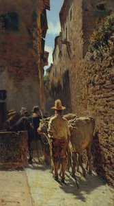 Marché aux bestiaux