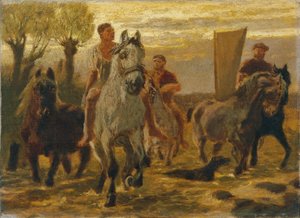 Abreuvoir pour chevaux
