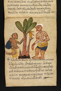 Satra. Sur la divination et les conseils pour une vie heureuse et saine (livre pliant en papier) - Thai School
