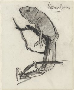 Caméléon