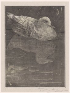 Canard flottant