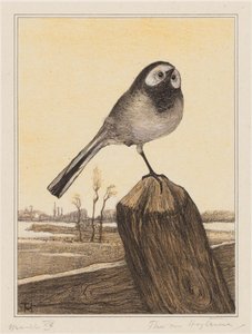 Bergeronnette sur un poteau - Theo van Hoytema (signed by artist)