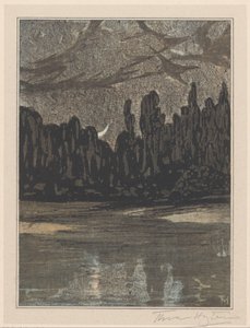 Paysage nocturne avec oiseaux migrateurs