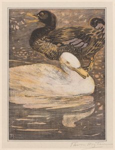 Deux canards