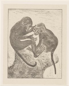 Deux singes se cherchant des puces