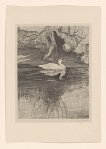 Étang avec canard