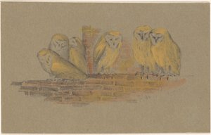 Carte de vœux avec six hiboux