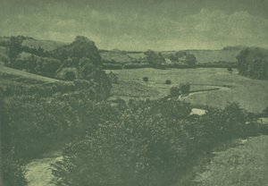 Camera Work : Meadow-brook, 1904